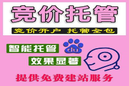 百度推广实战案例：助力企业实现品牌升级